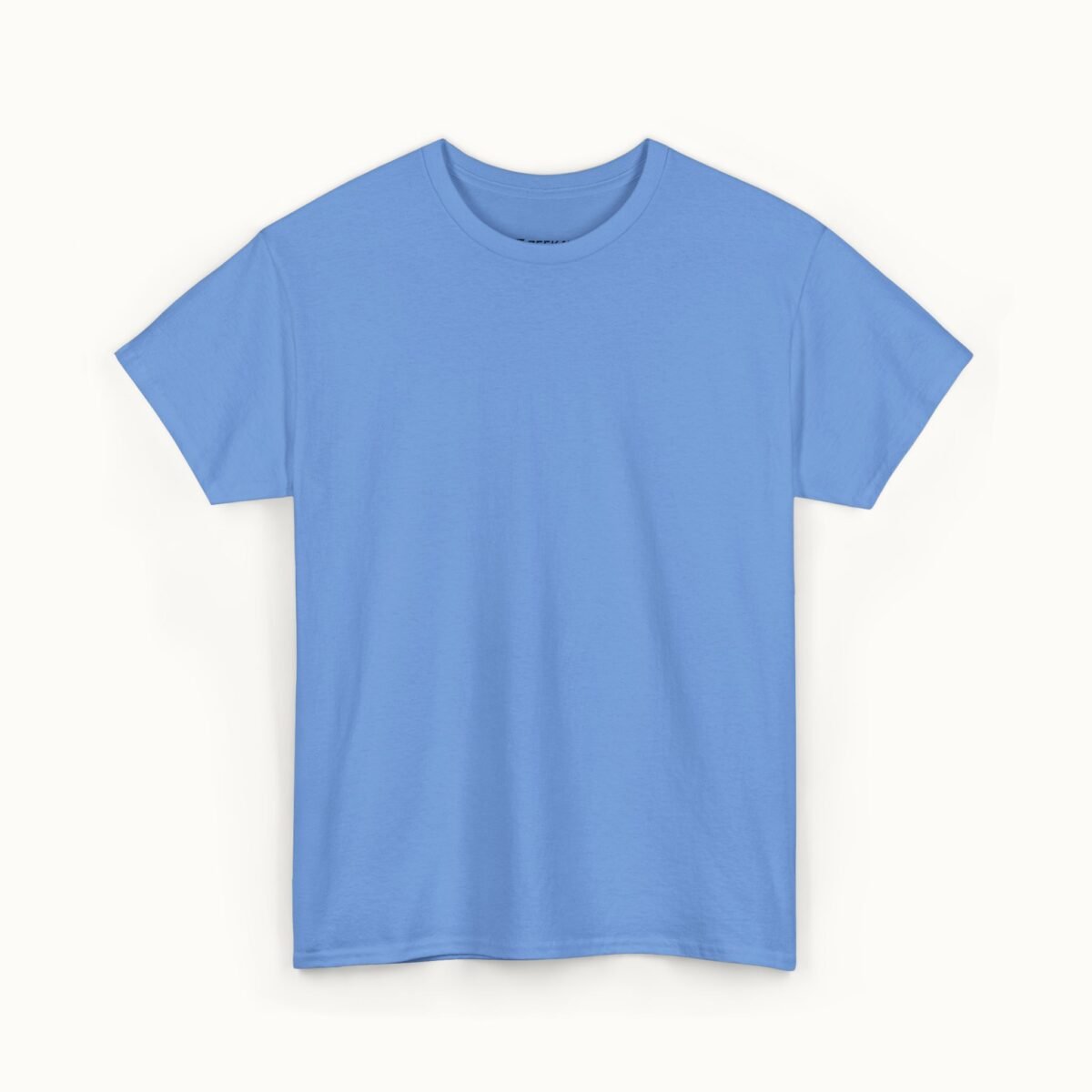 Unisex Heavy Cotton Basic T-Shirt